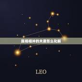 属相相冲的夫妻怎么化解，夫妻属相犯冲该怎么化解
