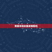 男属羊和女属龙相配吗，女属龙和男属羊的合不合