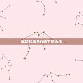 属蛇和属马的能不能合作，属蛇和属马的人合伙做生意合财吗