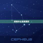 虎和什么生肖更好，1998年属虎的更佳配偶