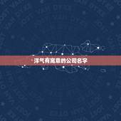 洋气有寓意的公司名字，帮想一个好听有寓意的公司名字！