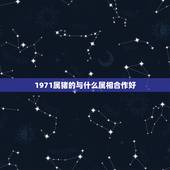 1971属猪的与什么属相合作好，1971年属猪正月出生和什么属相在一起