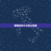 婚姻法对小三怎么处理，现在的婚姻法是针对谁，保护那些小三，对家庭对妻子
