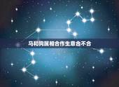马和狗属相合作生意合不合，70属狗生意合作和属羊合不合？