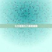 七三年和七八年的婚配，七三年什么属八三年的相配吗