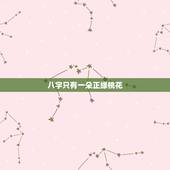 八字只有一朵正缘桃花，命中只有一个正缘桃花