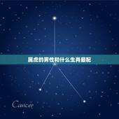 属虎的男性和什么生肖最配，属虎的和什么属相最配