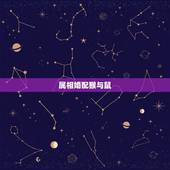 属相婚配猴与鼠，猴是和龙好还是和鼠好
