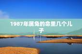1987年属兔的命里几个儿子，2个属兔的人生什么属相的孩子好