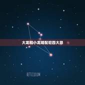 大龙和小龙婚配犯四大忌，属小龙的和属大龙的属相配不配？