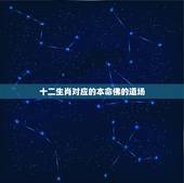 十二生肖对应的本命佛的道场，十二生肖对应的本命佛