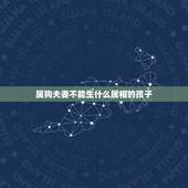 属狗夫妻不能生什么属相的孩子，我属鼠，我老公属狗，我们要什么属相的孩子