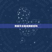 男属牛女属龙婚配好吗，属牛的男和属龙的女相配吗？