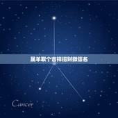 属羊取个吉祥招财微信名，1979年属羊的人起个什么微信名最好的