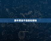 属牛男会不会到处暧昧，属牛男对得不到的女人