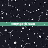 属狗的运势2022年运程，属狗人2022年全年运势如何？