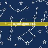2022年25岁属什么生肖，25岁今年多大了属什么的2022