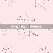 属牛的人跟哪几个属相最婚配，属牛的和什么属相最配？