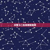 抖音十二生肖婚配视频，十二生肖配对姻缘合婚是真还是假？