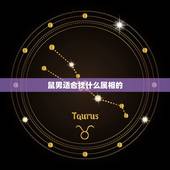 鼠男适合找什么属相的，老鼠更佳婚配生肖