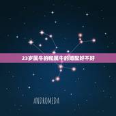 23岁属牛的和属牛的婚配好不好，牛和牛相配的姻缘好吗