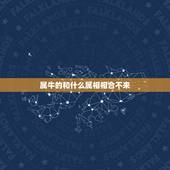 属牛的和什么属相相合不来，属牛和什么属相相冲