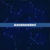 属龙的属狗的婚姻配吗，龙和狗可以结婚吗