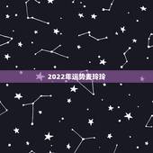 2022年运势麦玲玲，2021虎人全年运势1974麦玲玲