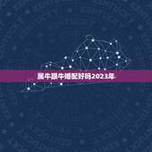 属牛跟牛婚配好吗2023年，牛和牛相配的姻缘好吗