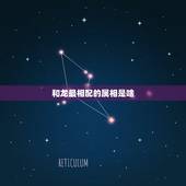 和龙最相配的属相是啥，属羊的和什么属相最配
