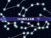 1978年天上火命，1978天上火命的人禁忌