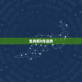 生肖蛇8月运势，2011年生肖蛇运程