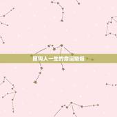 属狗人一生的命运婚姻，属狗几月出生更好命