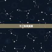 十二生肖星座，十二生肖和星座能对应吗？