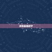 沭阳县局班子，局都有什么下属单位？