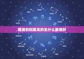 属猪的和属龙的生什么属相好，属猪和属龙的生小孩什么生肖好