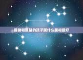 属猪和属鼠的孩子属什么属相最好，属猪和属鼠的人生什么属相的孩子最好