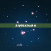 属狗忌婚配什么属相，属狗婚配和什么属相合适
