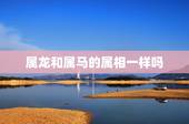 属龙和属马的属相一样吗，属马和属龙相配吗？我们都是金牛座！