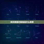 黄历里面冲属相是什么意思，黄历中的冲是什么意思，比如生肖冲牛什么意思