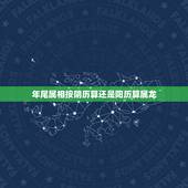 年尾属相按阴历算还是阳历算属龙，本命年是按阴历还是阳历算的呀？ 身份证