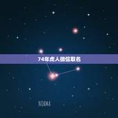 74年虎人微信取名，74年属虎旺财微信昵称
