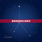 最吉利旺财的公司名字，最吉利旺财的店铺名