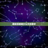 属蛇的婚姻什么方向更好，2001年属蛇吉利方向