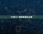 91年十一月的羊是什么命，1991年11月羊男的命运怎么样