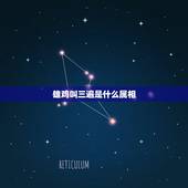 雄鸡叫三遍是什么属相，鸡啼三遍天色早，左右逢源一高人。是什么生肖啊？
