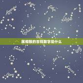 属相猴的吉祥数字是什么，一九九六年属鼠的幸运数字是多少