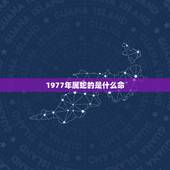 1977年属蛇的是什么命，1977年出生是什么命