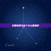 女猴和男马生个什么属相好，男属猪女属马生个属猴的小孩好吗