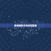 属相婚配牛和虎和属兔，属虎和属牛的相配吗